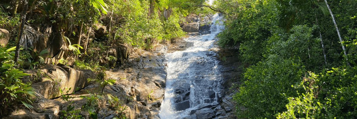 cascade