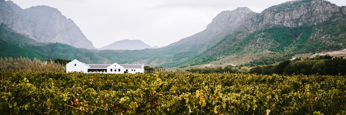 wineland