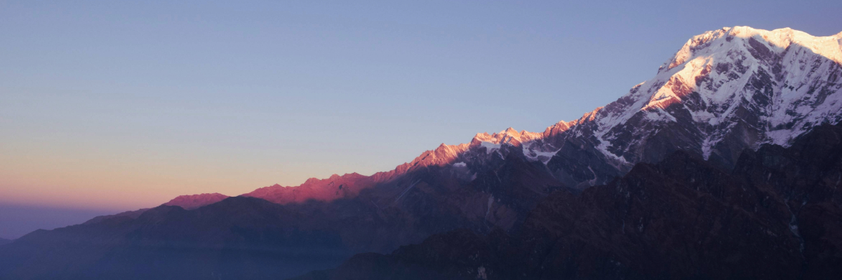 Adobe Express 2024-01-09 13.16.41