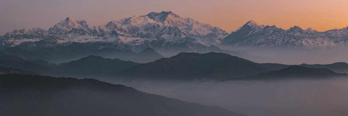 Adobe Express 2024-01-15 14.54.54