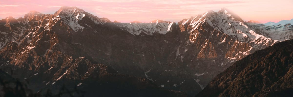 Adobe Express 2024-01-15 15.21.41