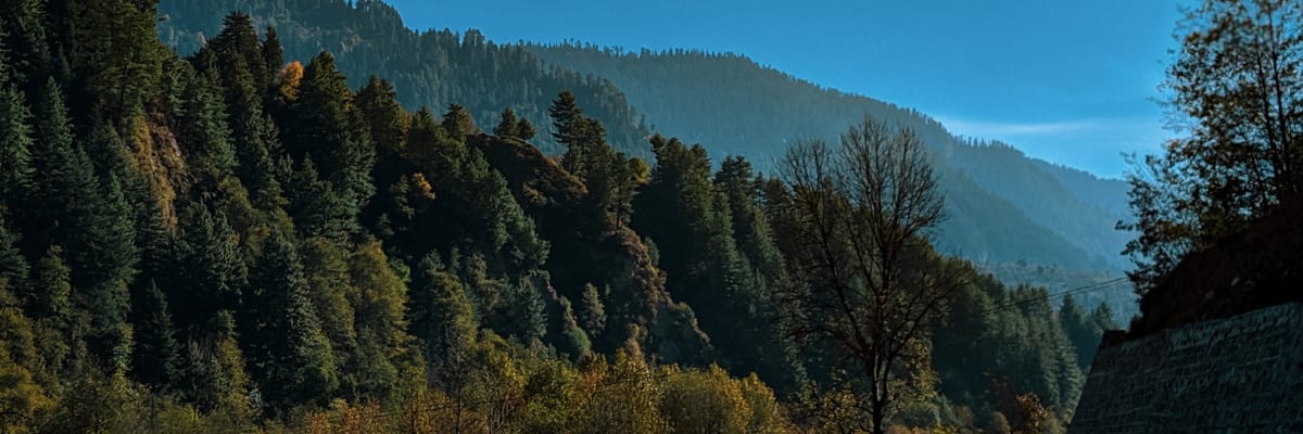 Adobe Express 2024-01-15 15.22.03