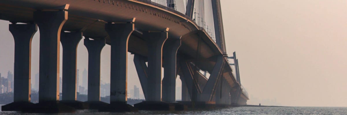 Adobe Express 2024-01-15 15.56.47