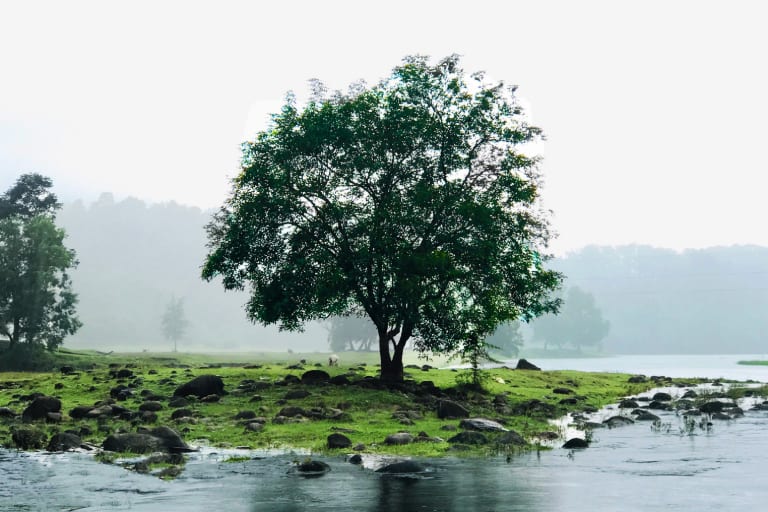 Splendors of Kerala
