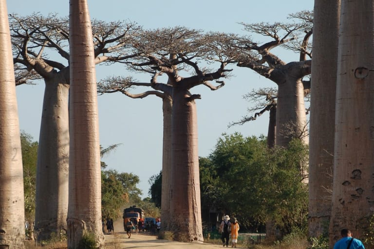 Madagascar: Nosy Be
