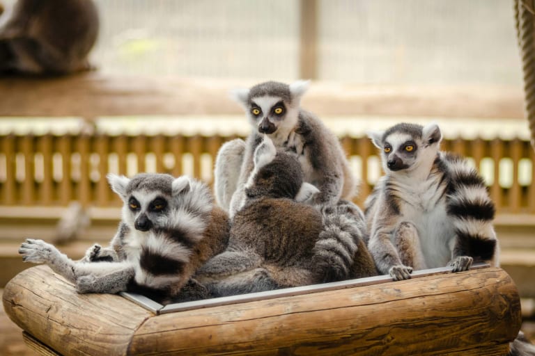 Madagascar: Fort Dauphin