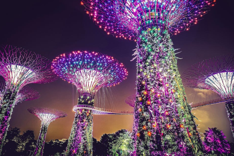 Singapore Experience