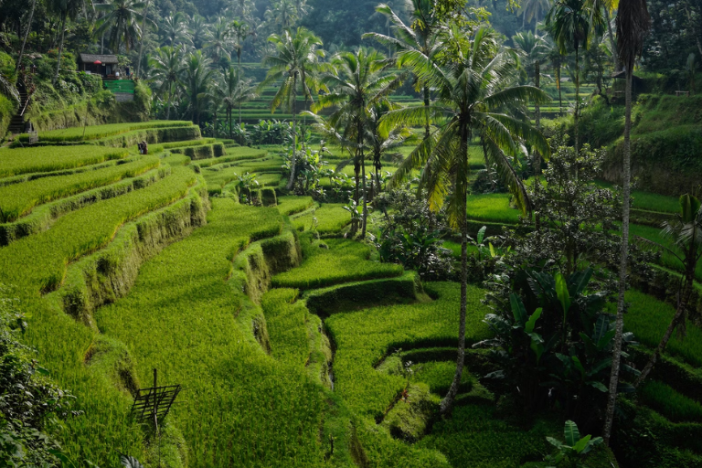 Bali: Free & Easy – 8 Days