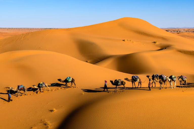 Glittering City & Golden Sands Getaway