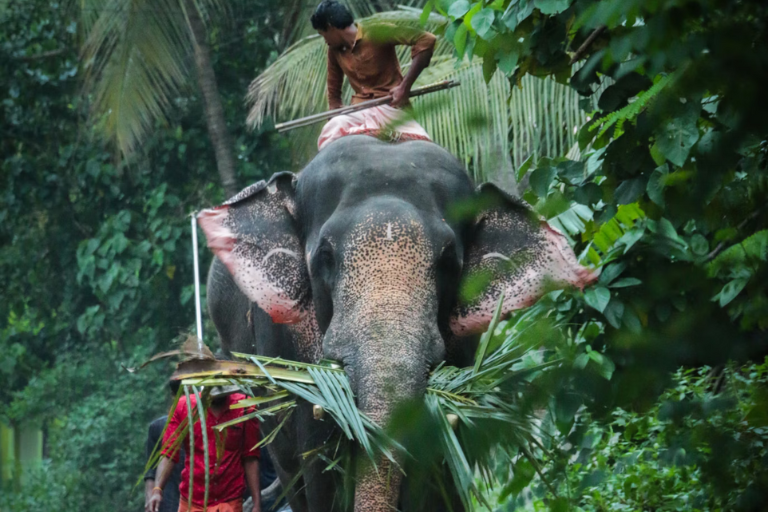 Natural Kerala
