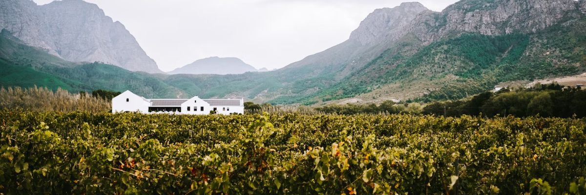 Franschhoek