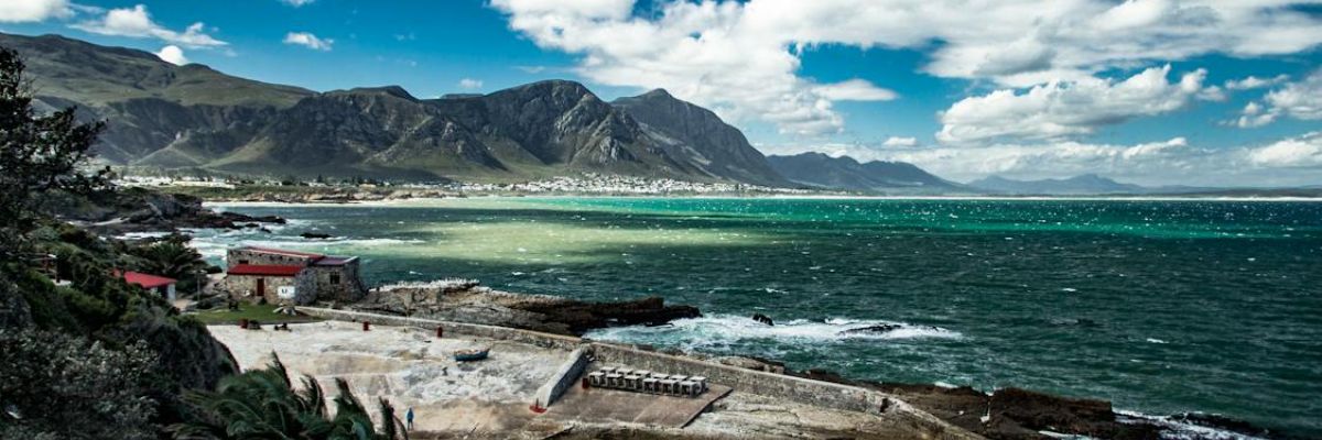 Hermanus