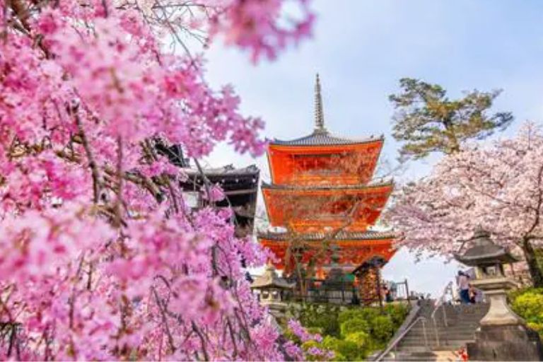 Traditional Japan & Saporo