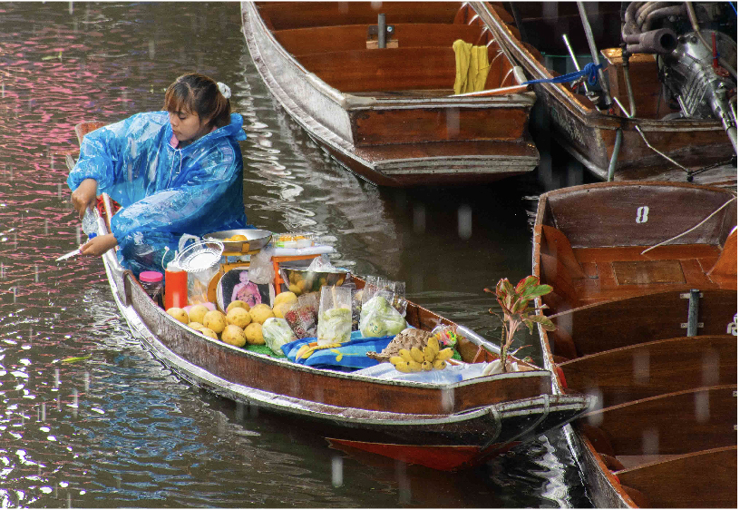 A Gastronomic Travel Through Thailand’s Dynamic Nourishment Scene