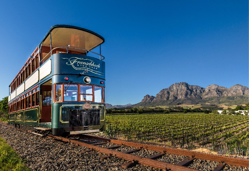 Unlocking the Charms of Cape Town: A Journey to the Cape Winelands