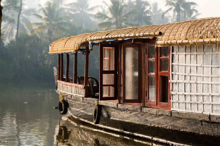 Wellness in Kerala Backwaters