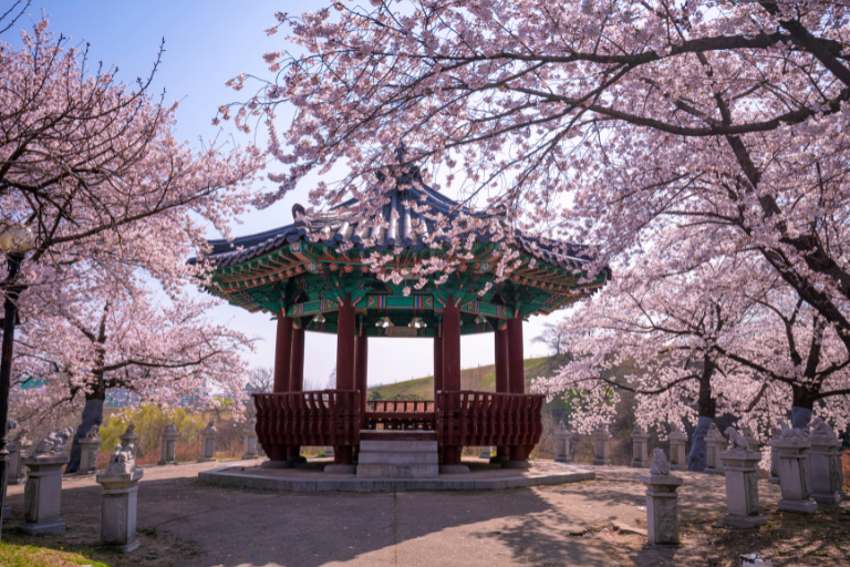 Complete Korea